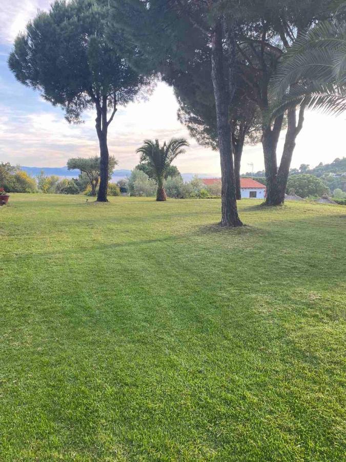 Appartement Polytimi *