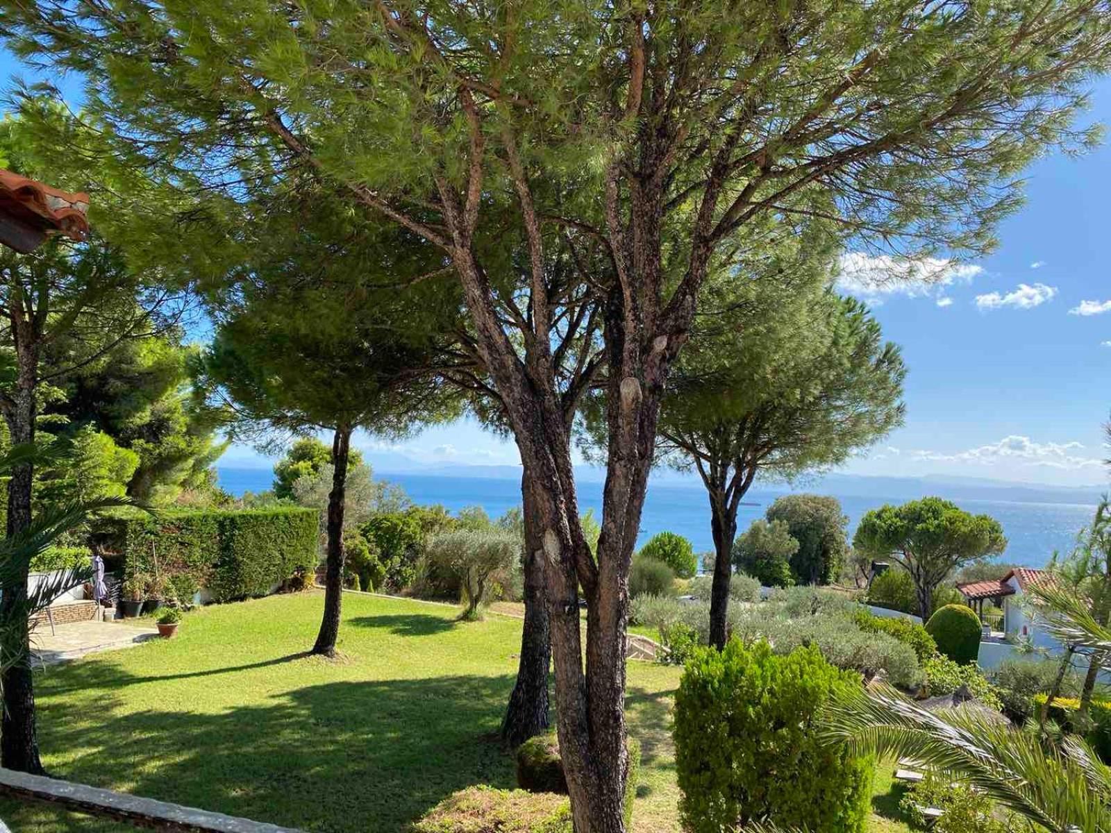 Polytimi Appartement Agia Paraskevi (Skiathos)