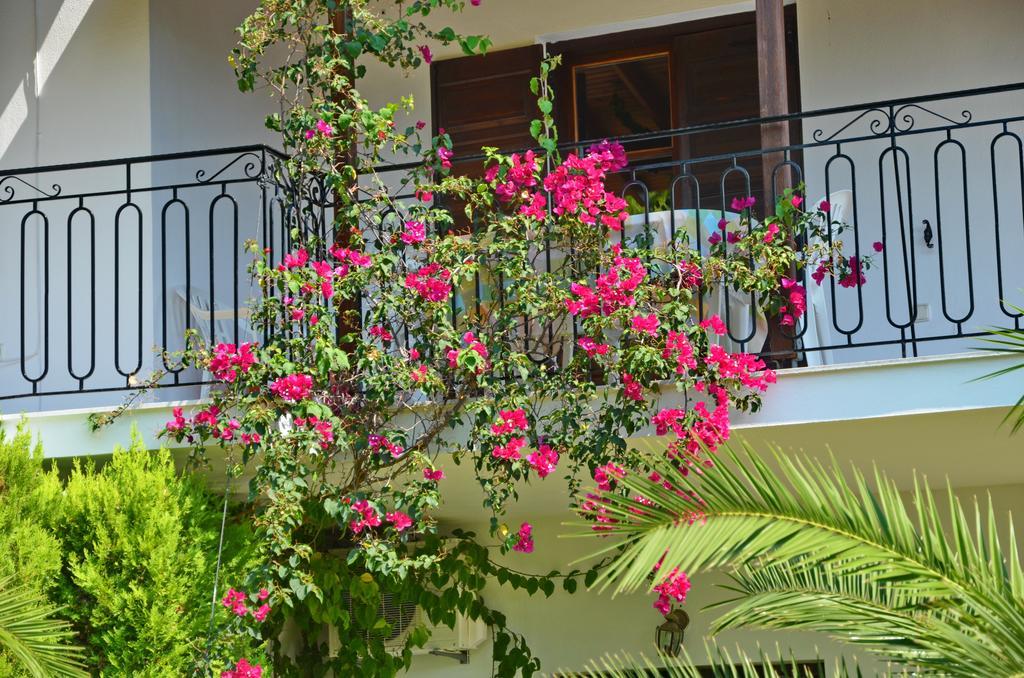 Polytimi * Agia Paraskevi (Skiathos)