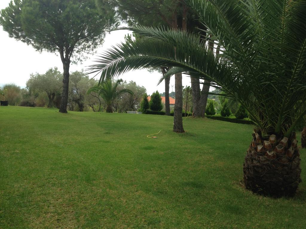 Polytimi Appartement *